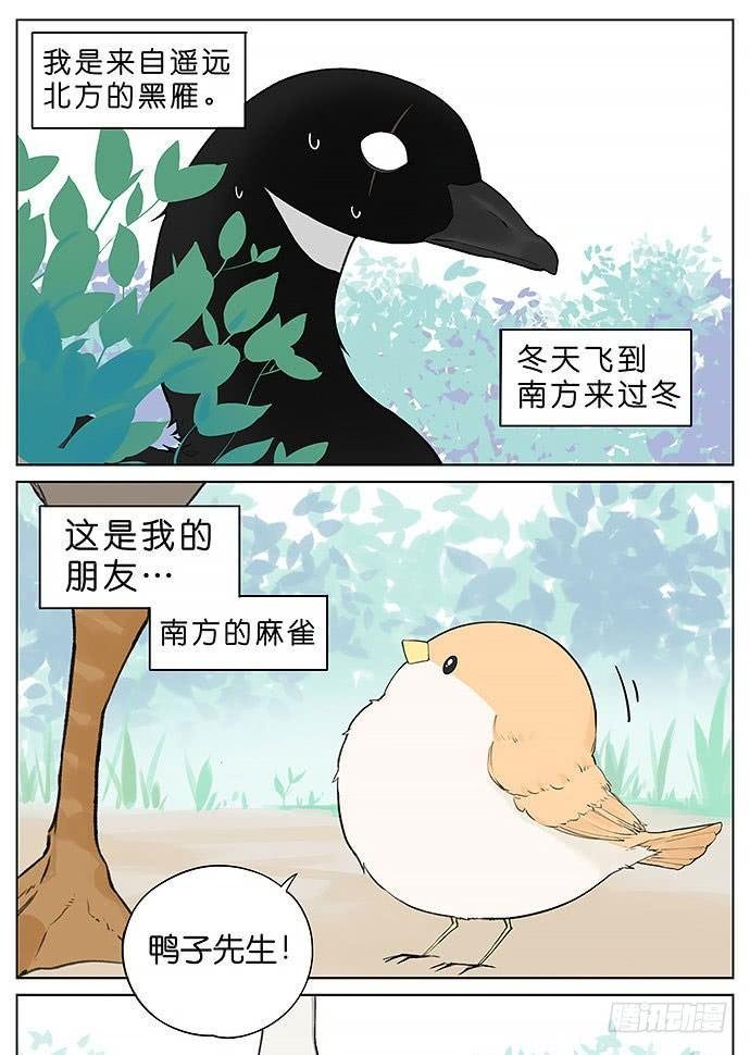 鸭子和鹅。