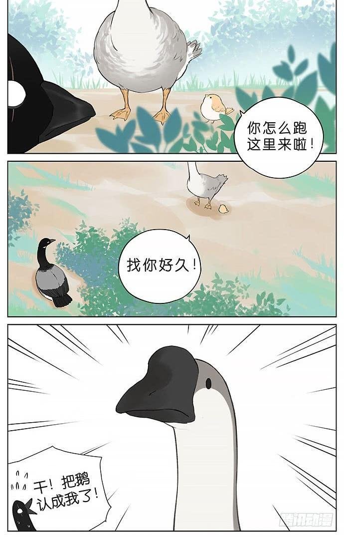 鸭子和鹅。