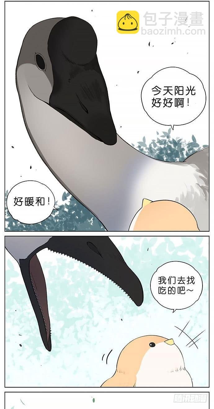 鸭子和鹅。