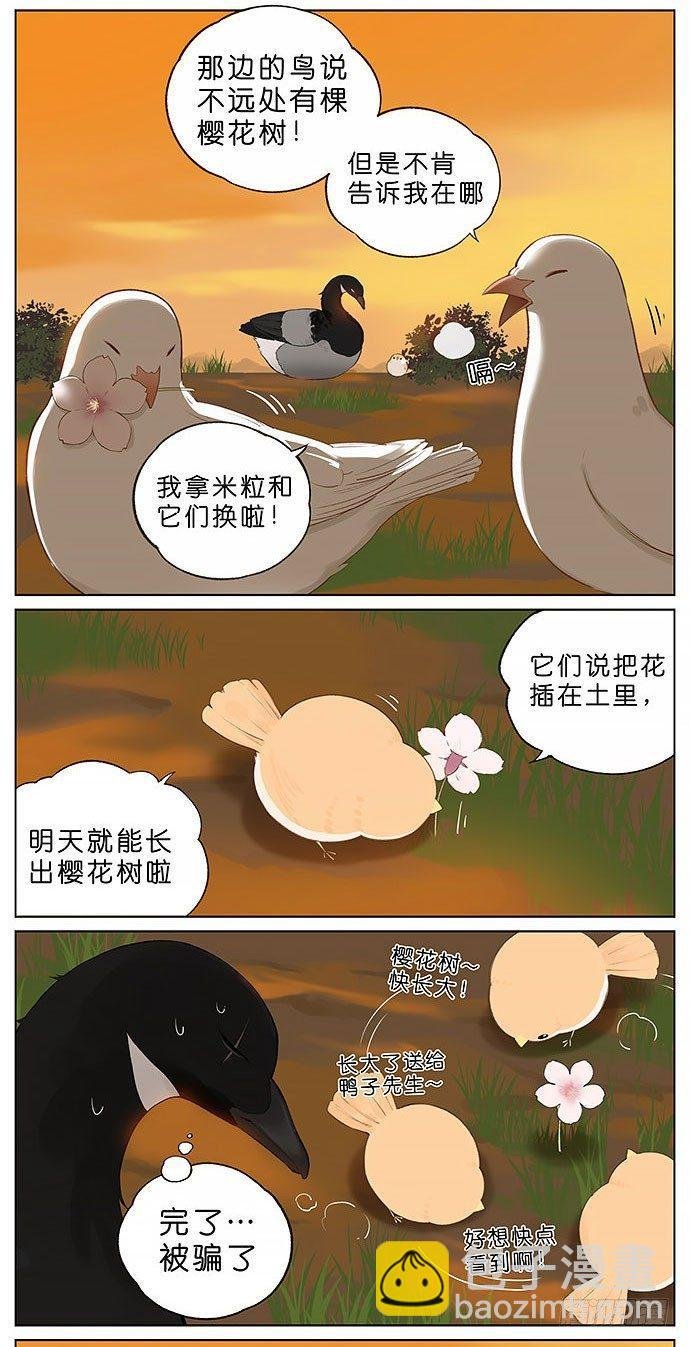 春天的鸟。
