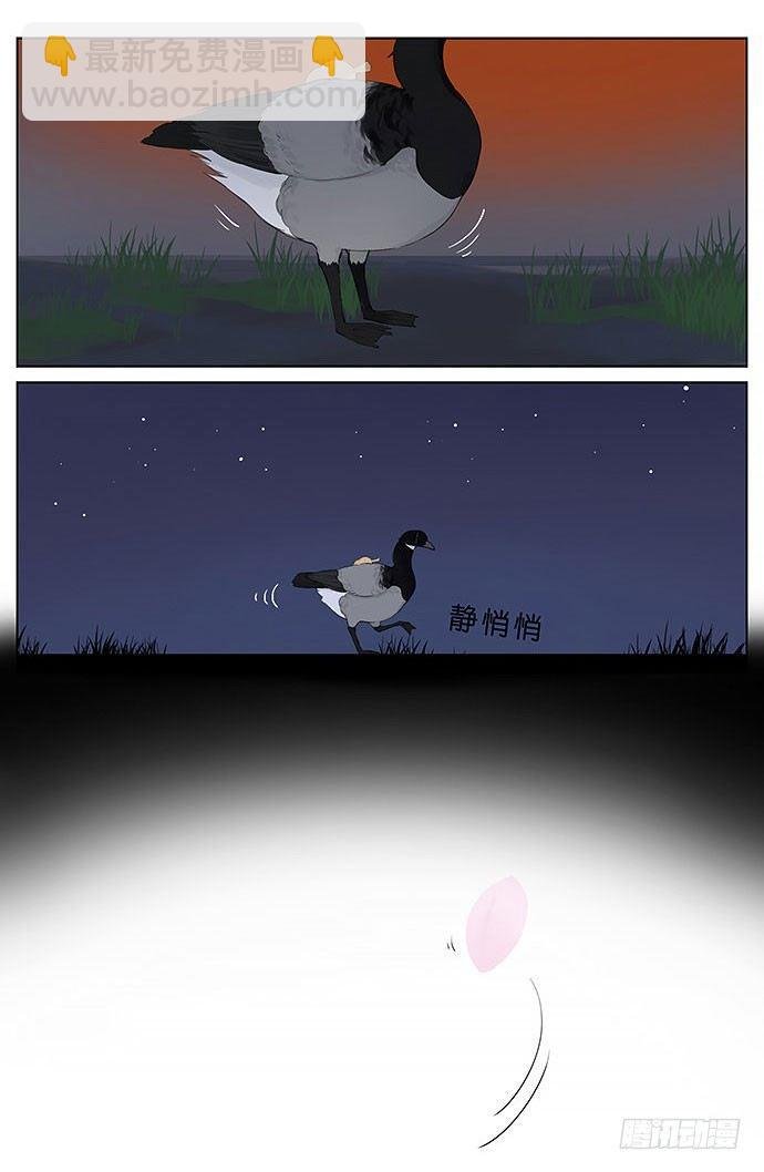 春天的鸟。