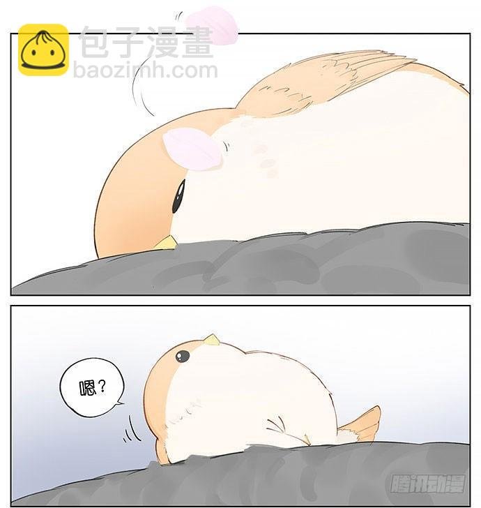 春天的鸟。
