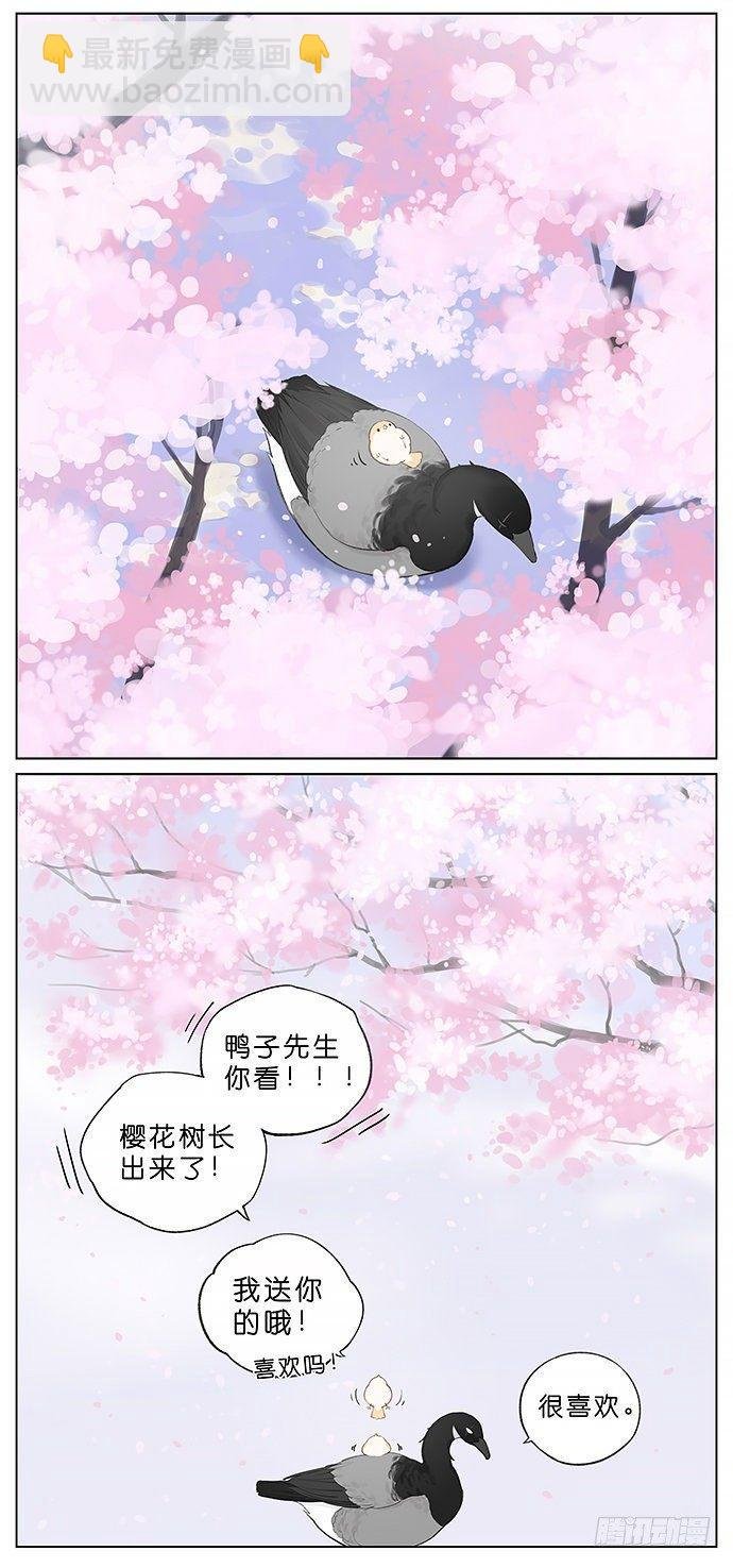 春天的鸟。