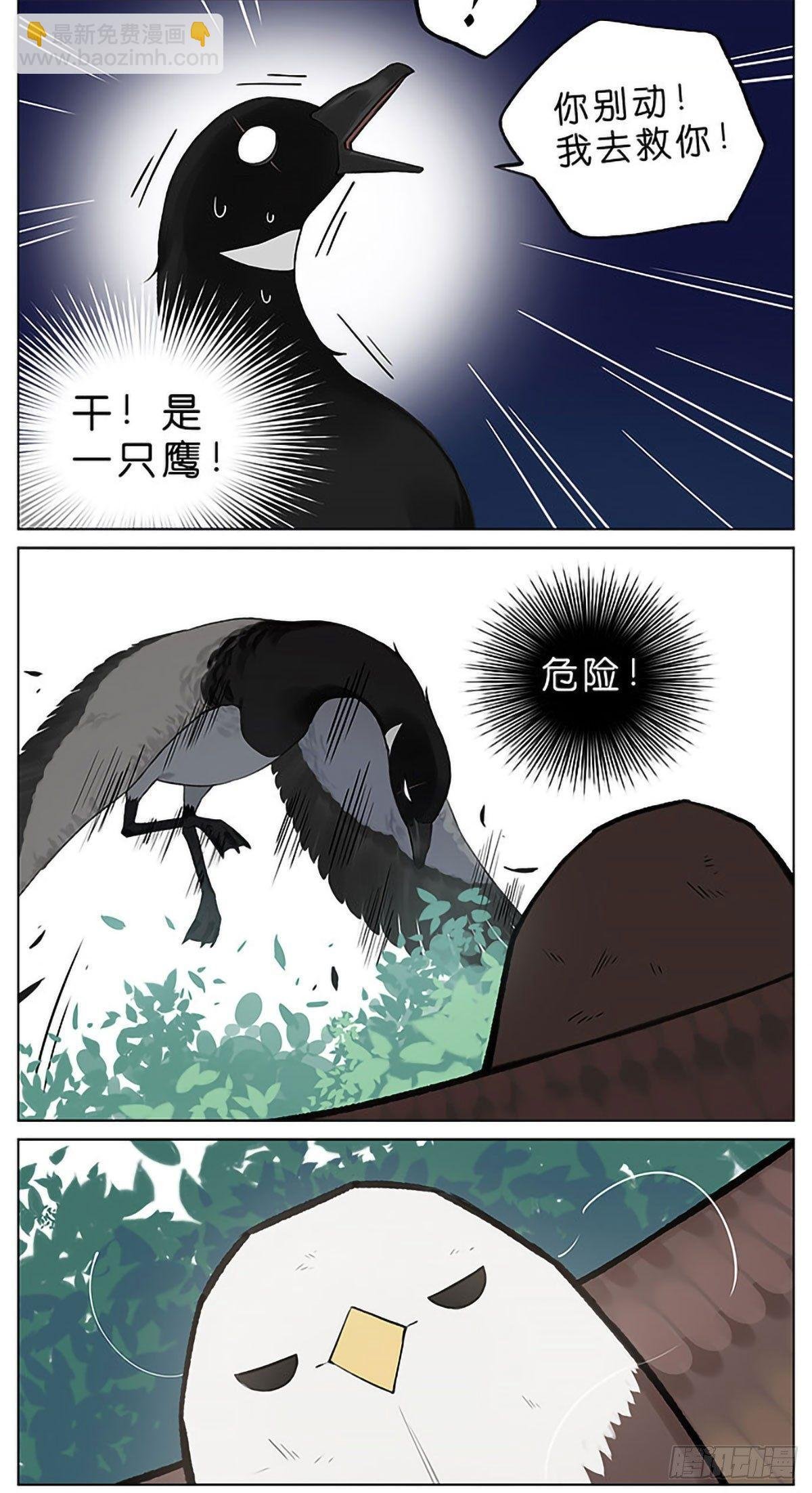 春天的风筝。
