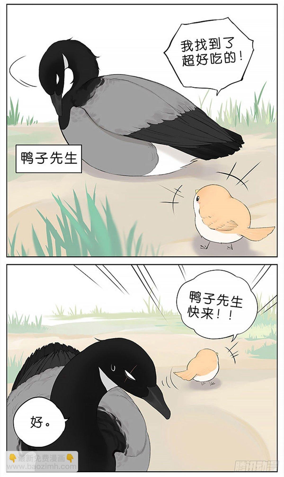 吃雪糕的麻雀。