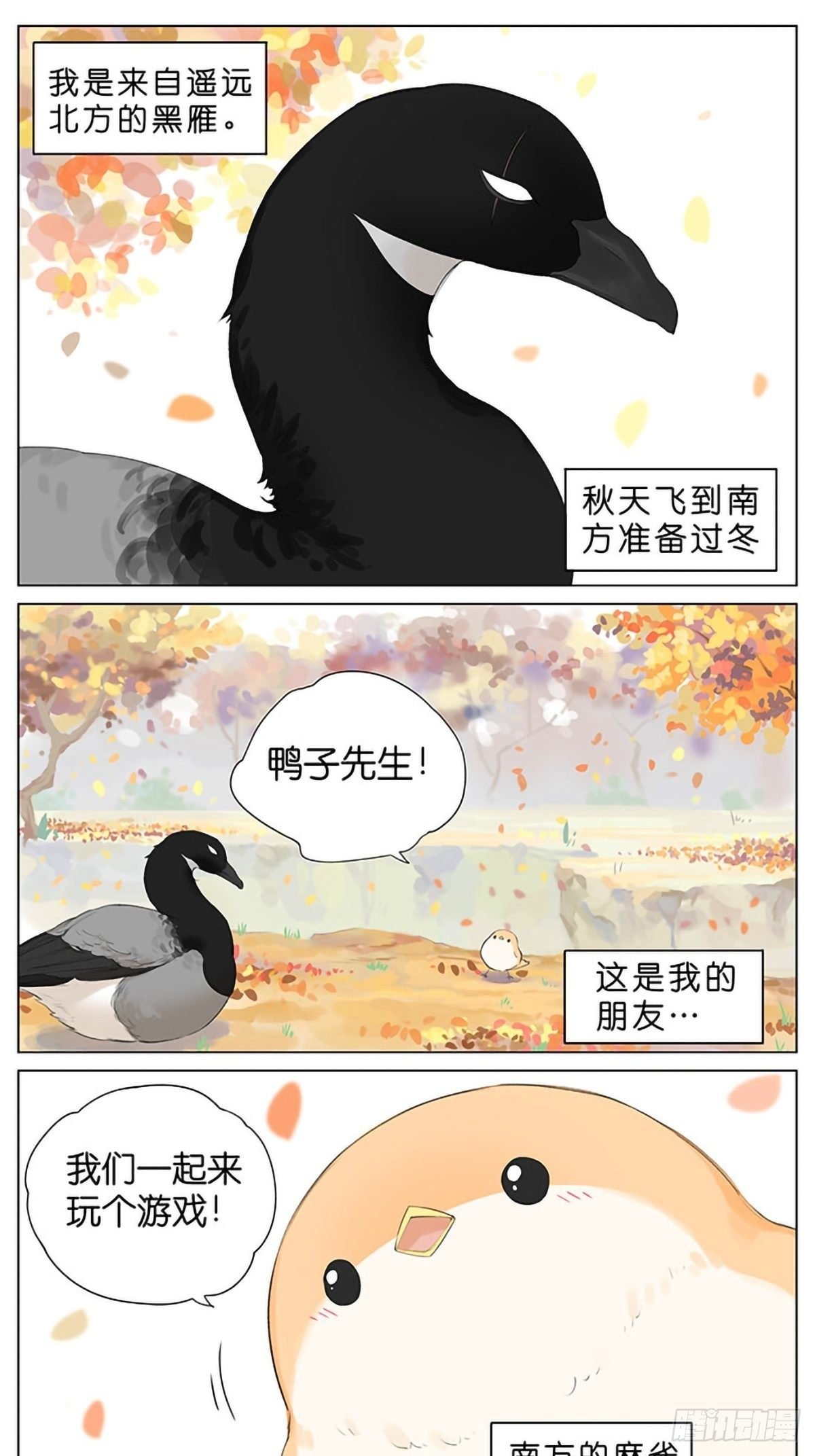 秋天的鸟。