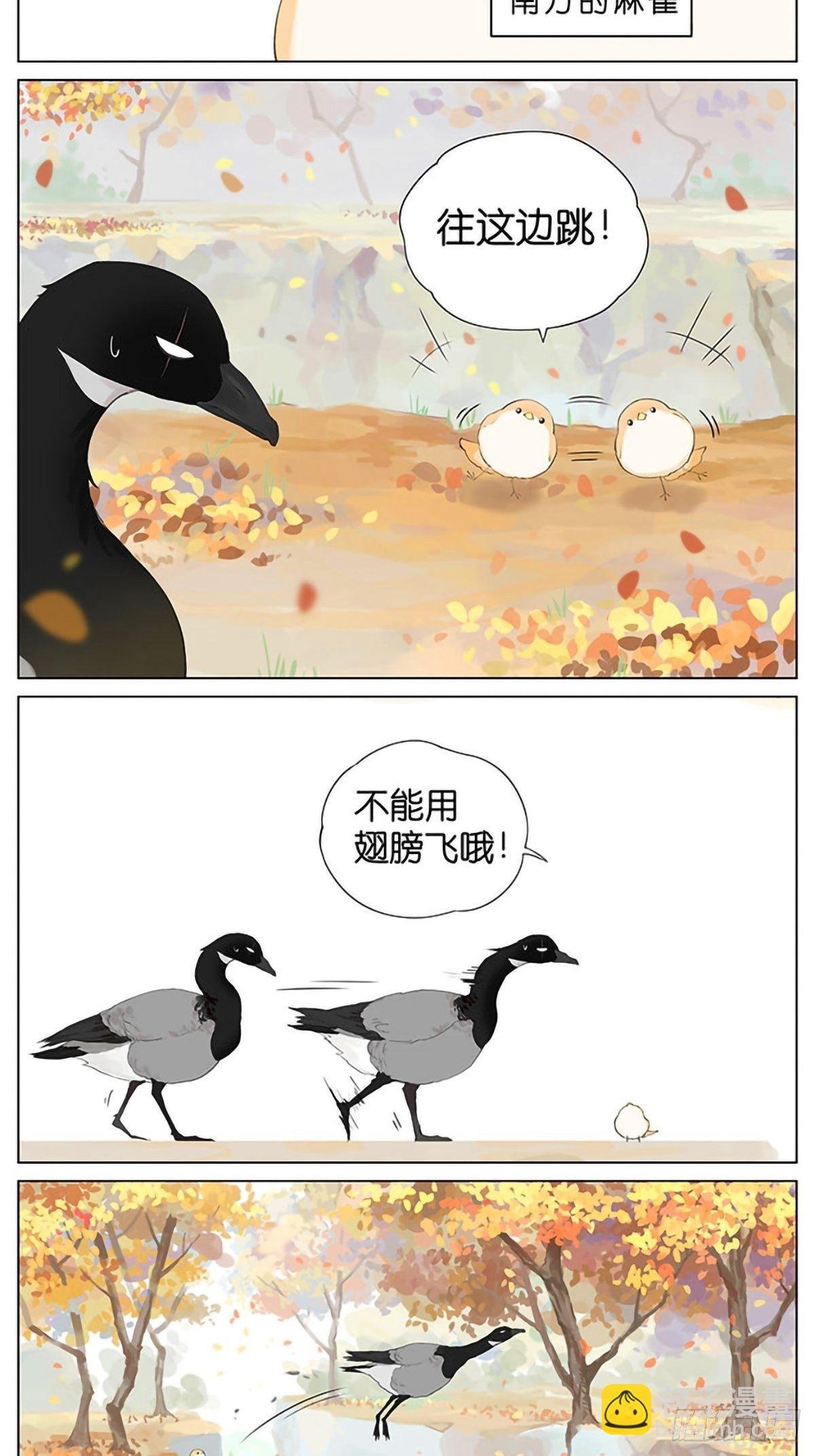 秋天的鸟。