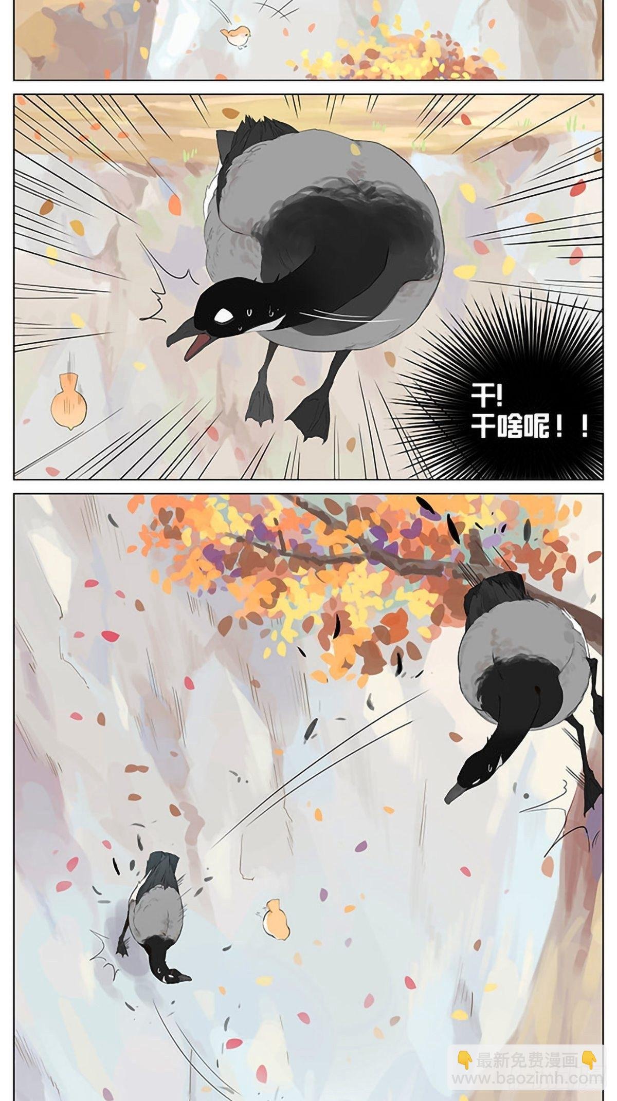 秋天的鸟。
