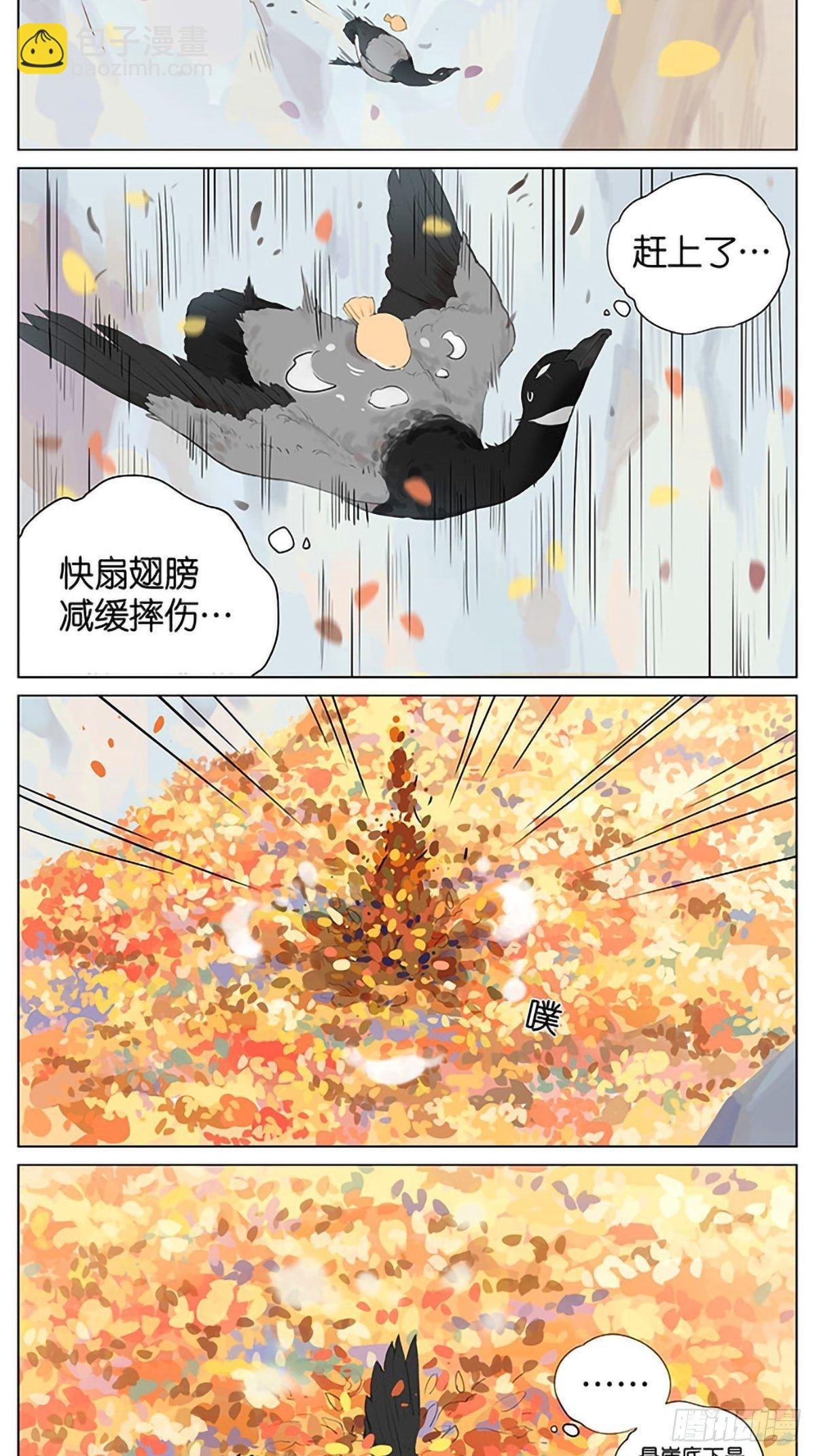 秋天的鸟。