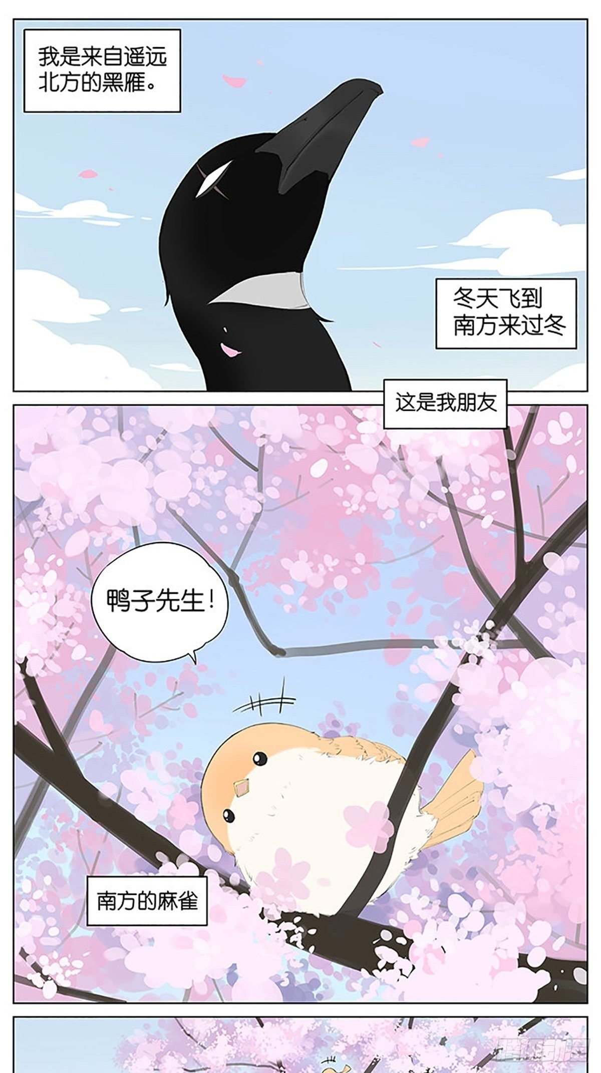 樱花树下的鸟。