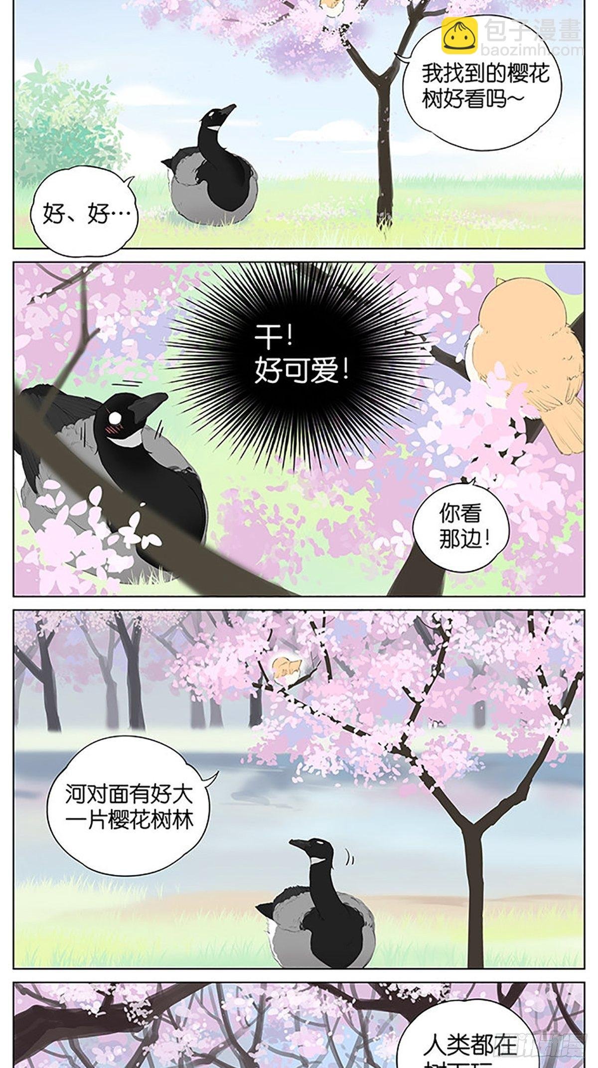 樱花树下的鸟。