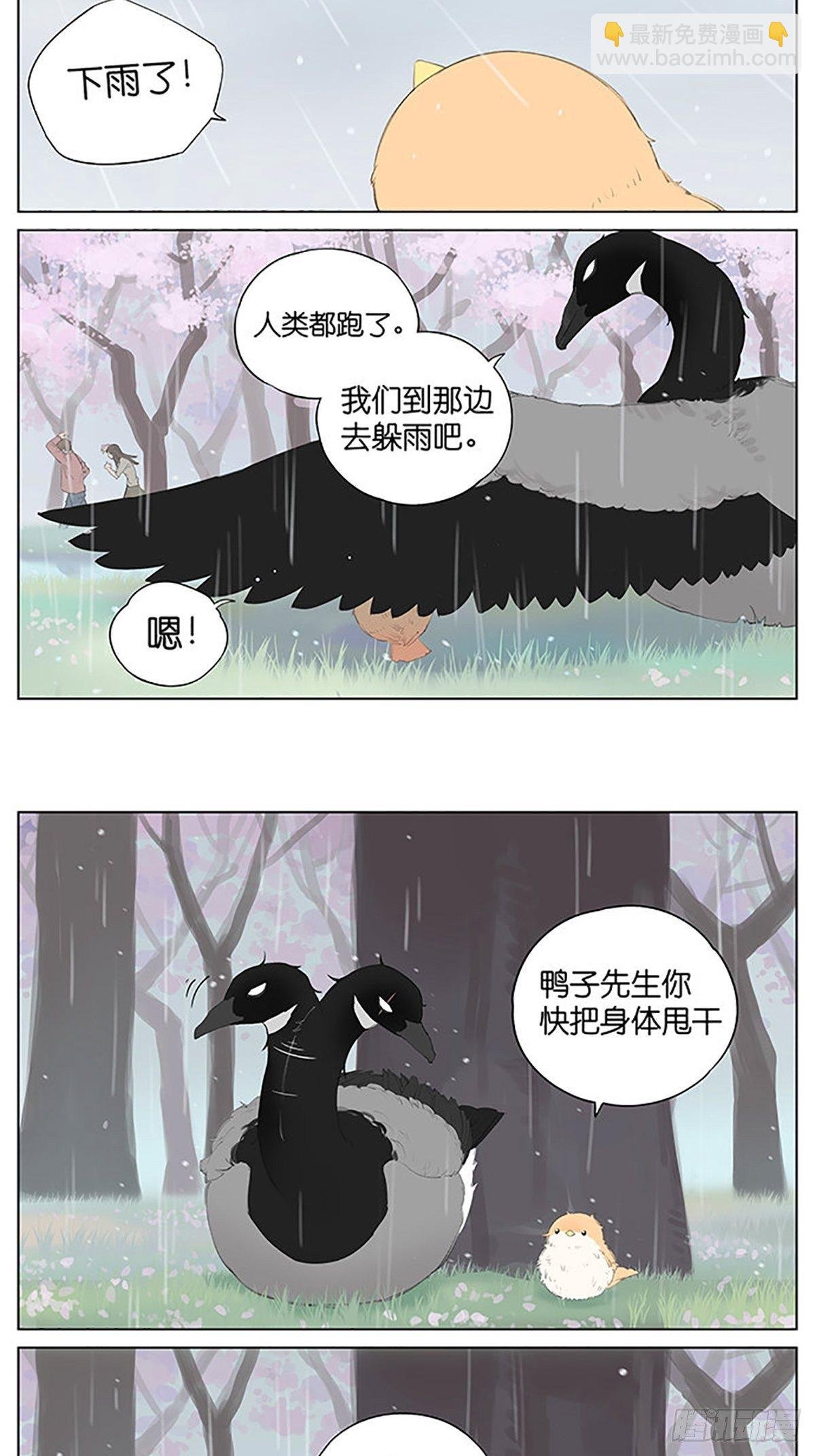 樱花树下的鸟。