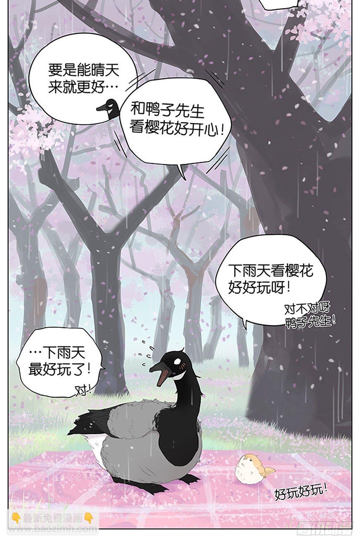 樱花树下的鸟。