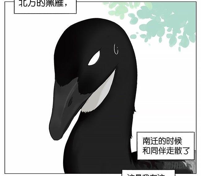 卷纸芯。