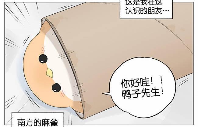 卷纸芯。