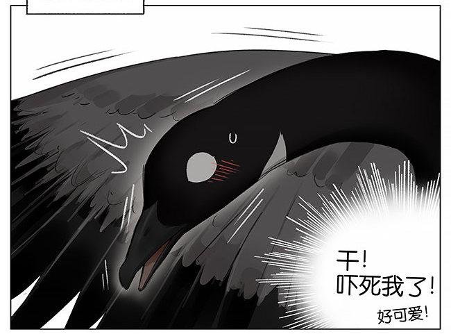 卷纸芯。