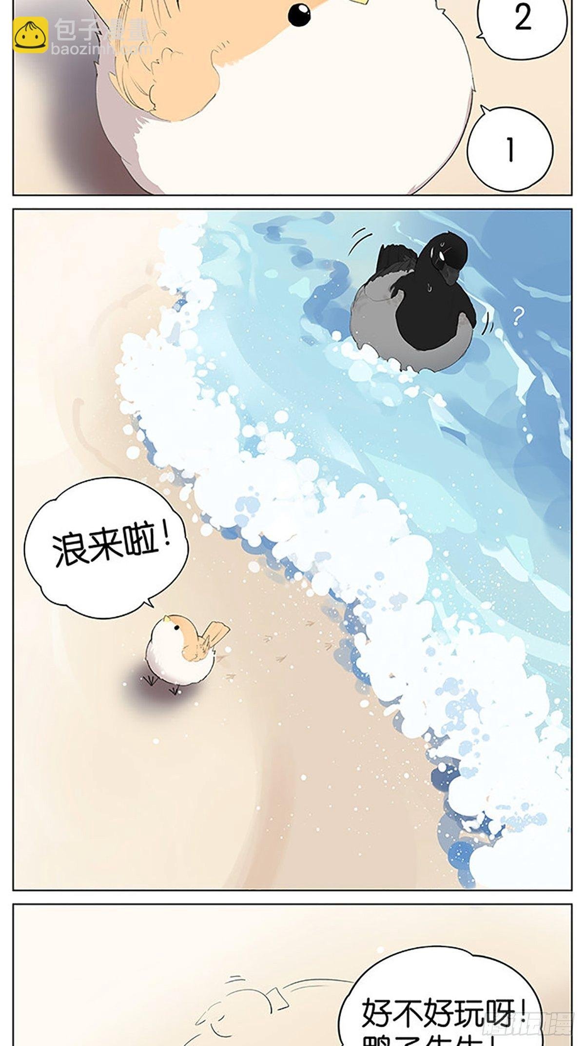 沙滩上的鸟，夏天啦！