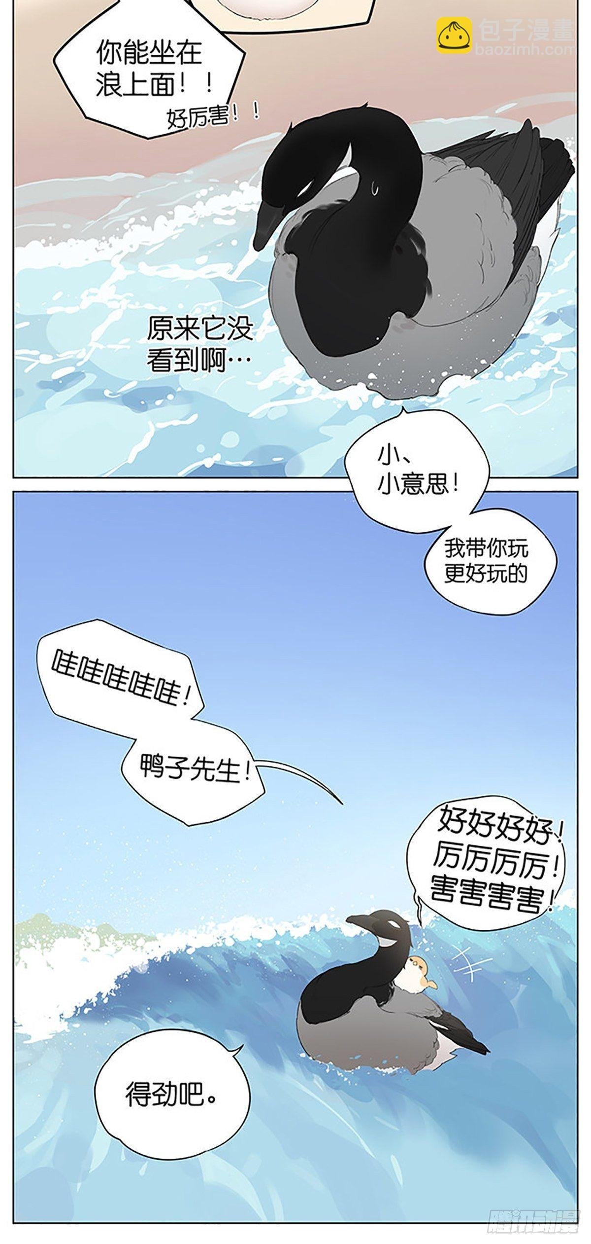 沙滩上的鸟，夏天啦！