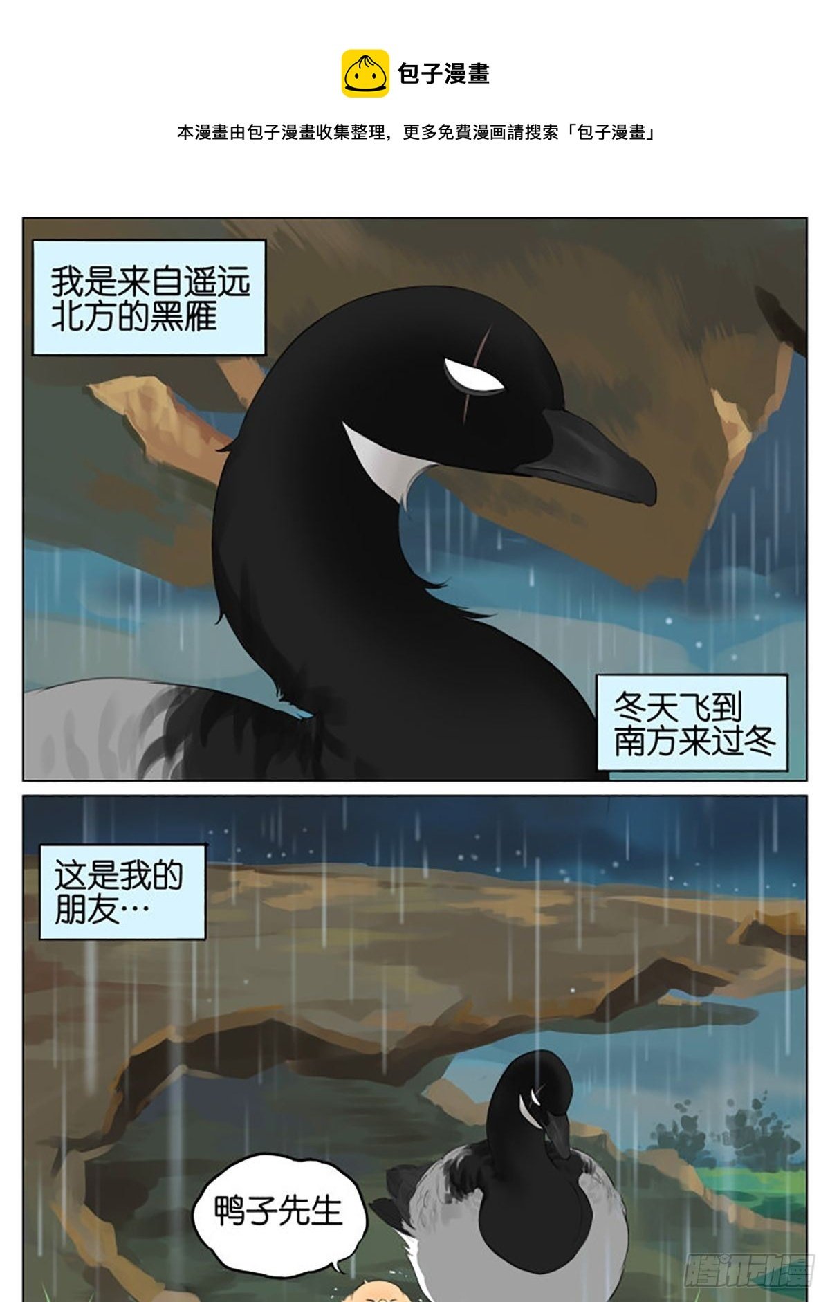 雷雨天的鸟