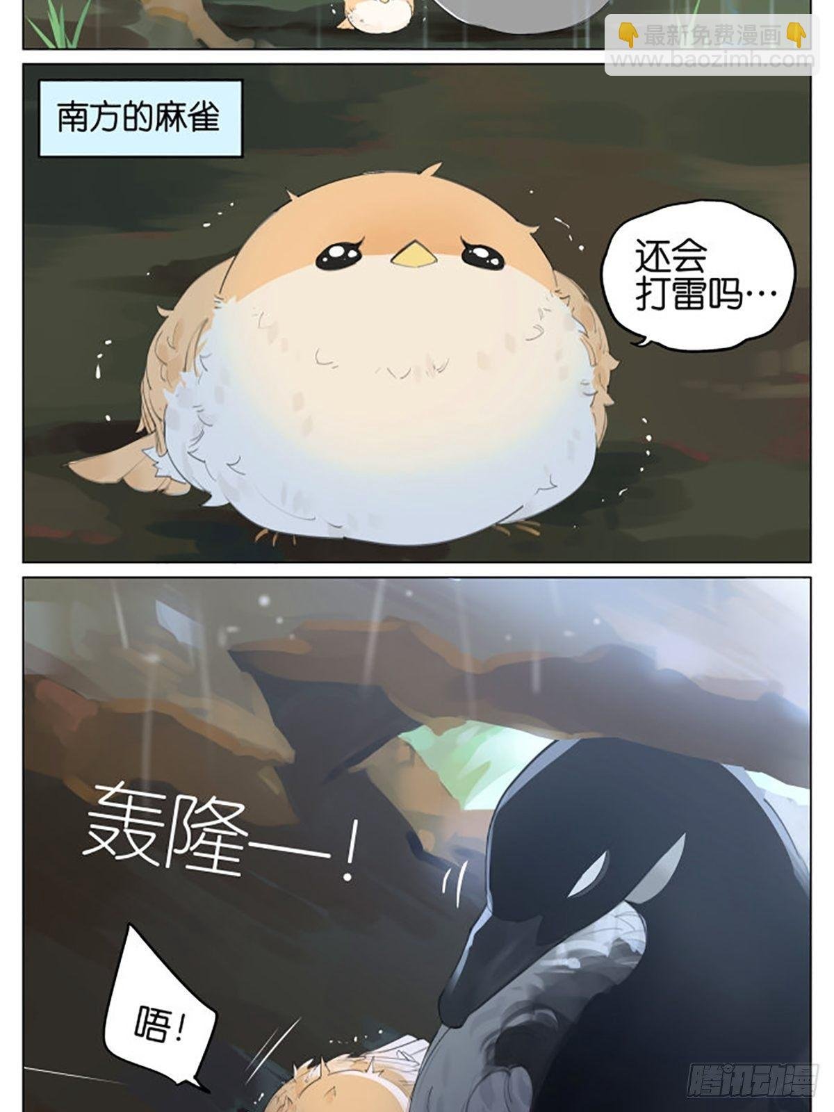 雷雨天的鸟