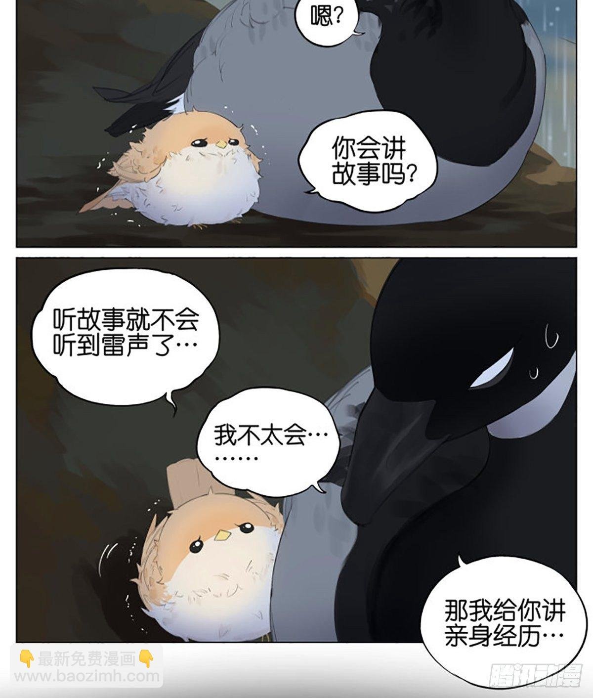 雷雨天的鸟