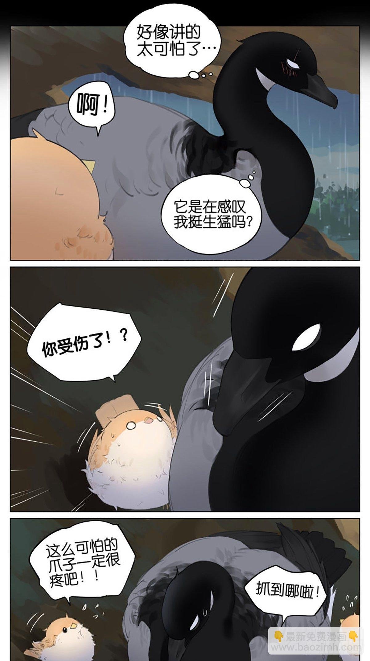 雷雨天的鸟