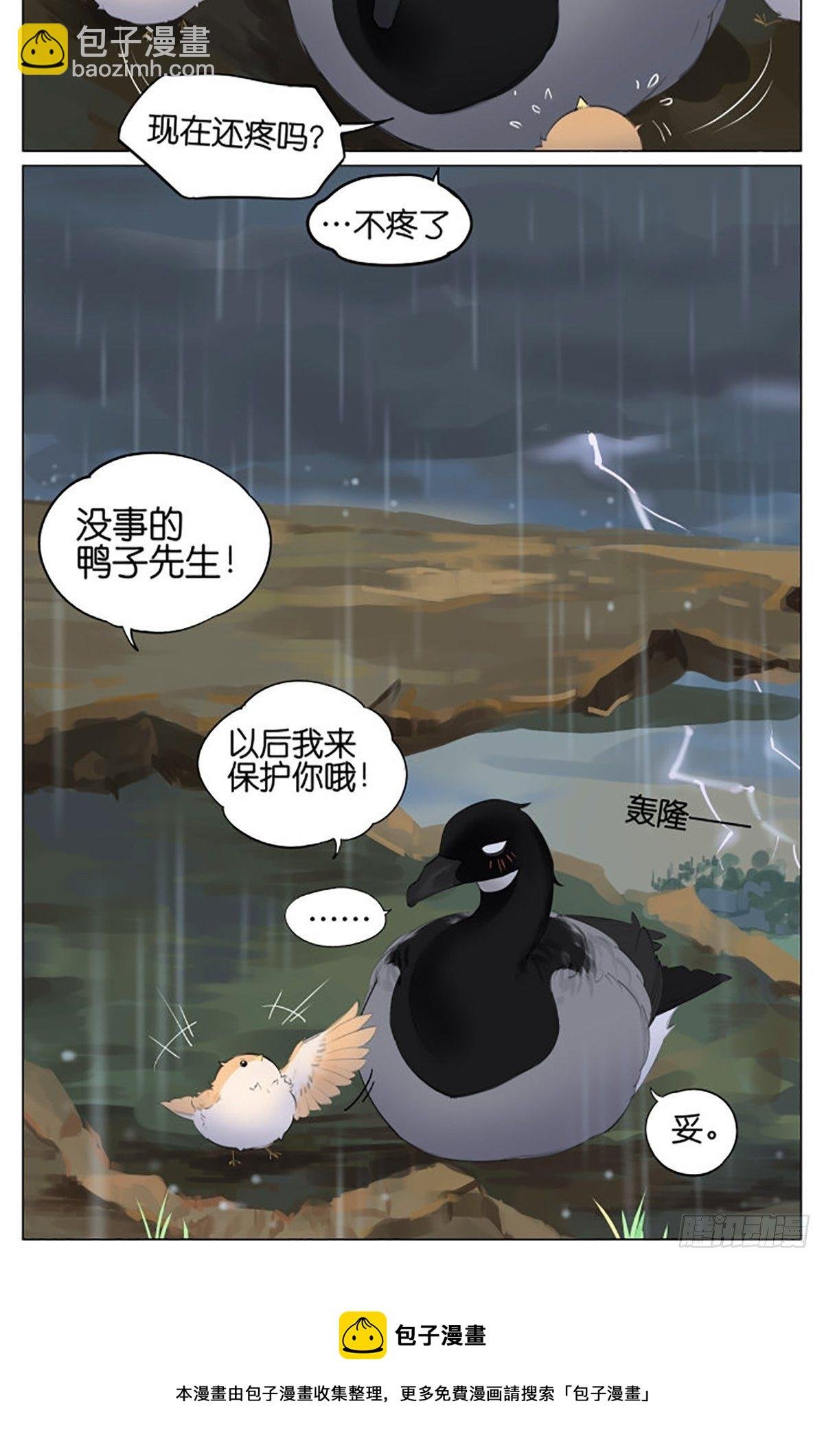 雷雨天的鸟