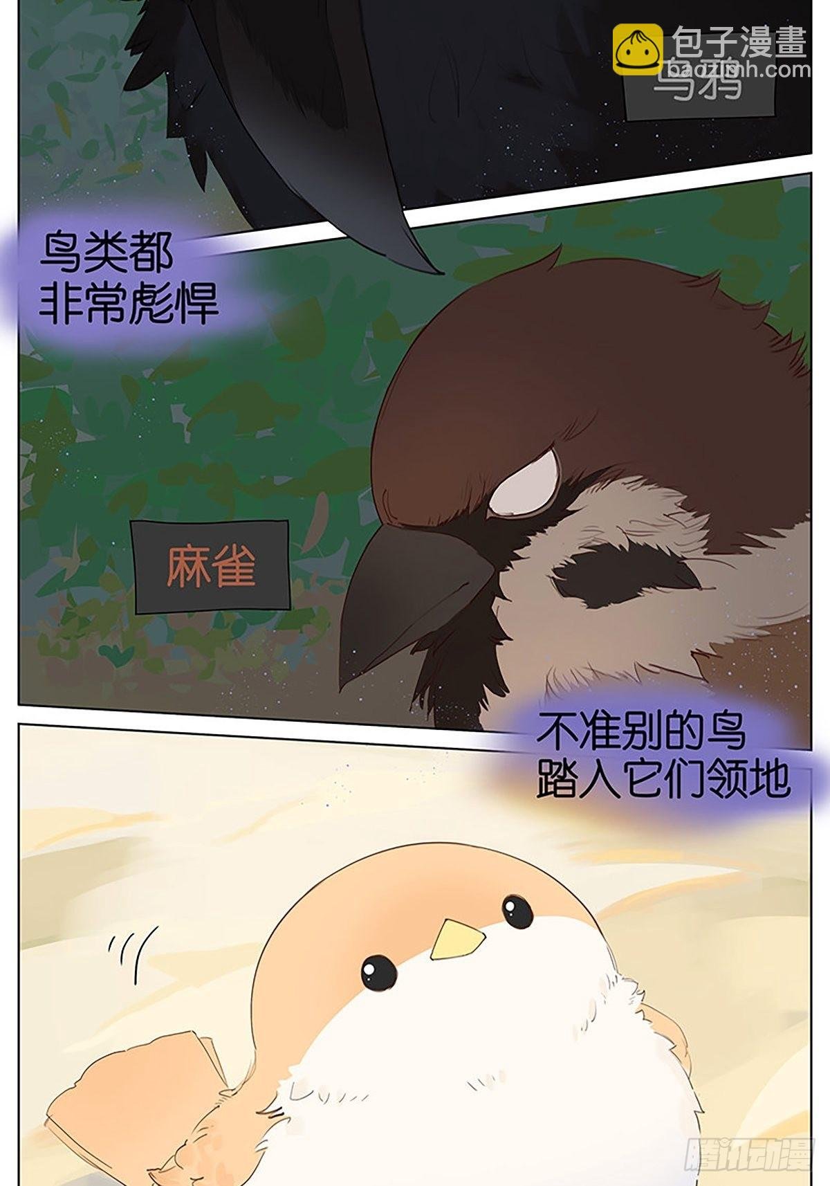 凉爽的小河 ​​​