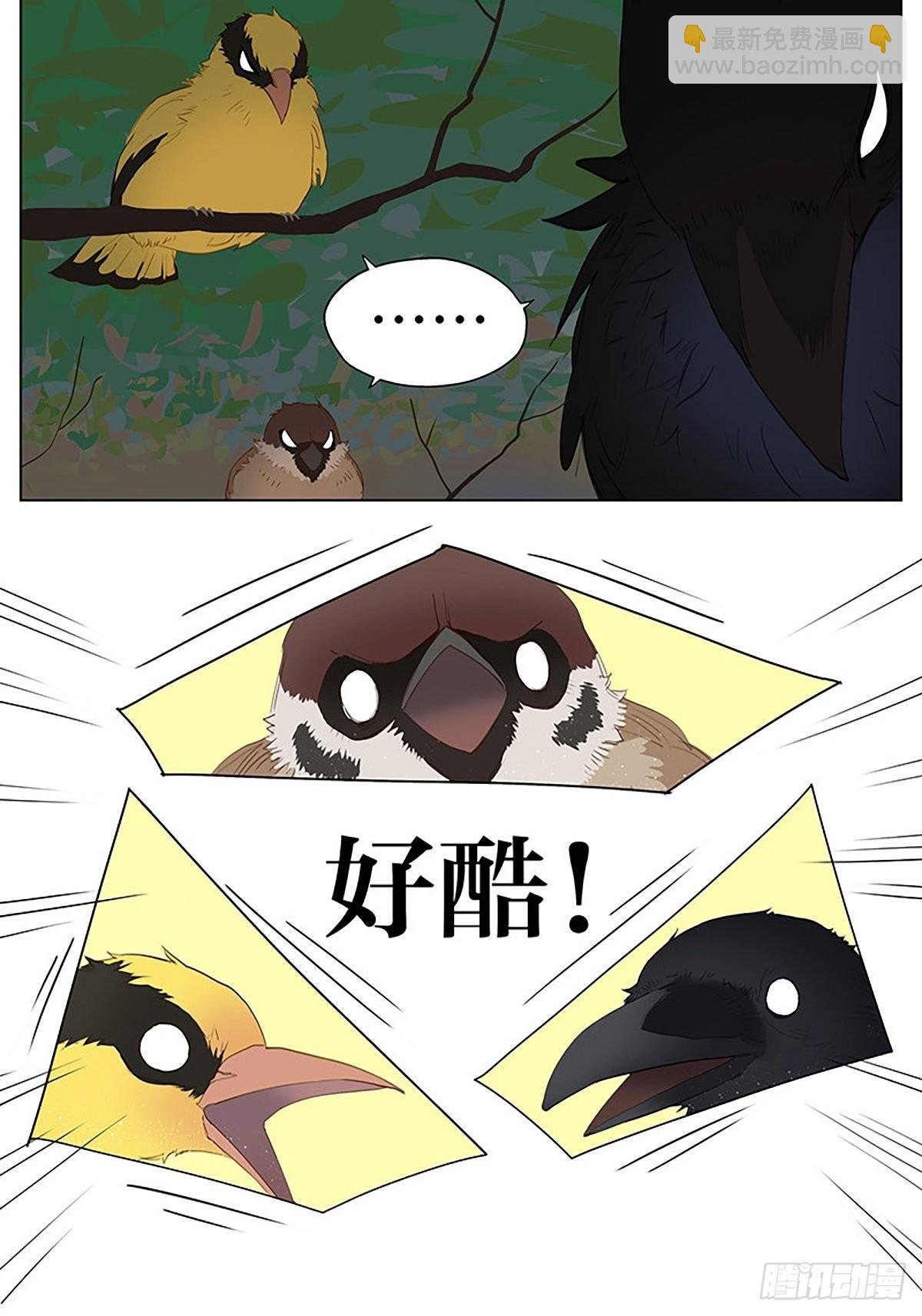 凉爽的小河 ​​​