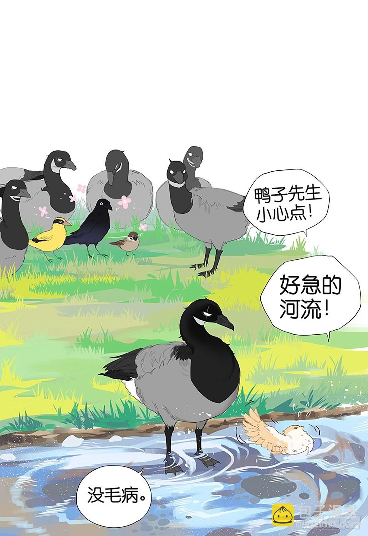 凉爽的小河 ​​​