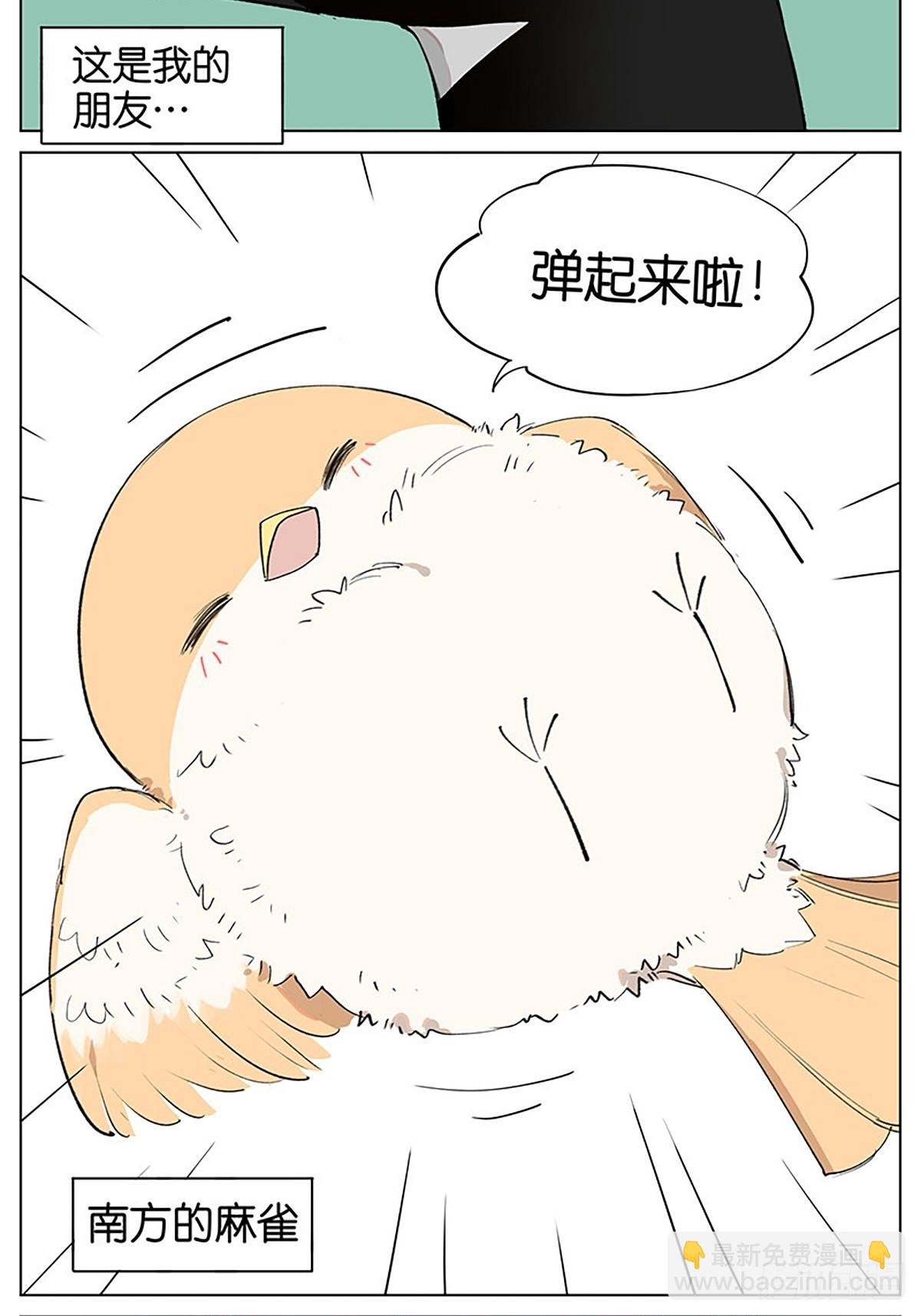 弹弹的小鸟
