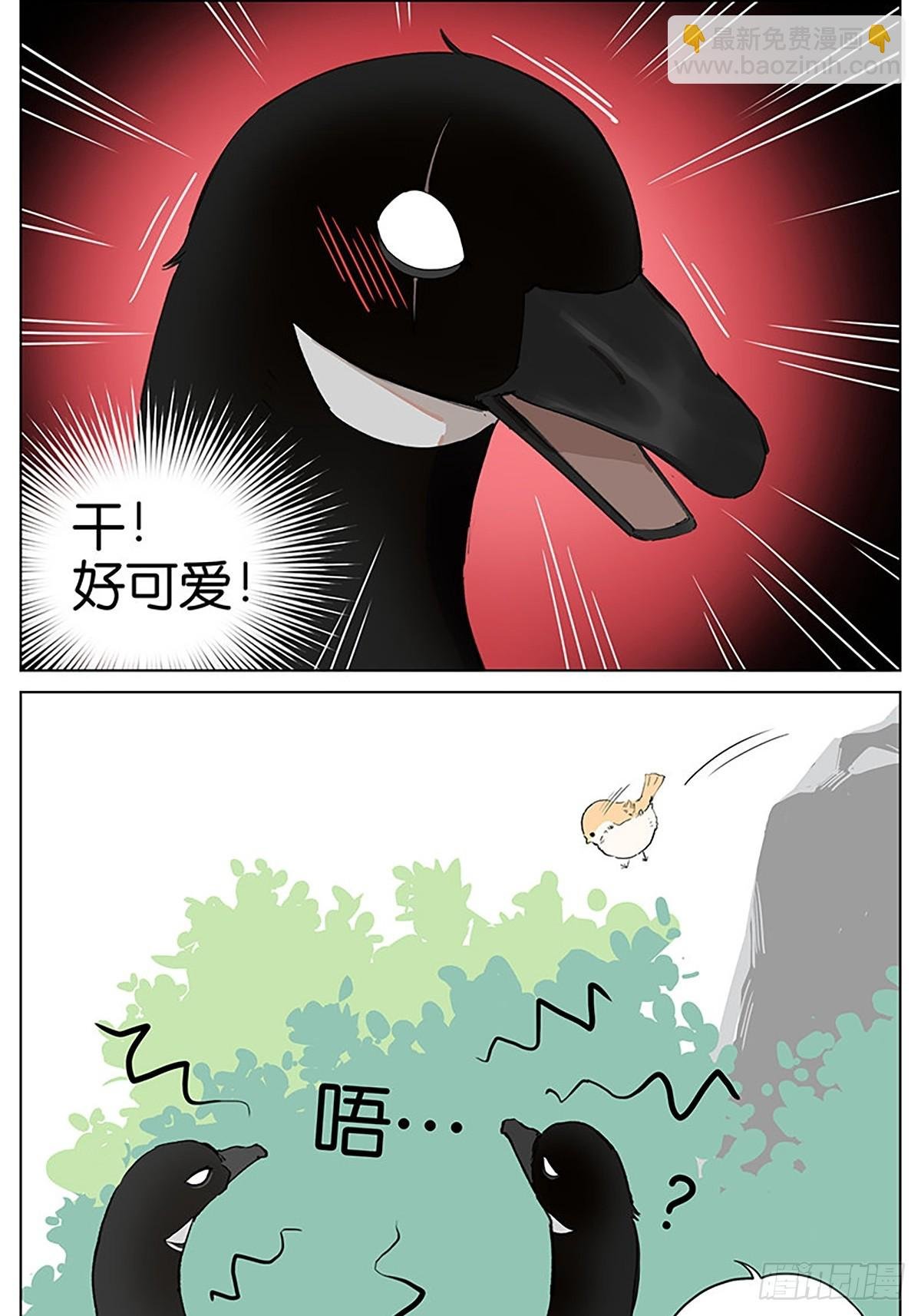 弹弹的小鸟