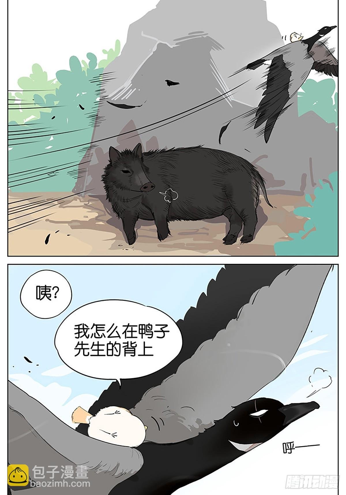 弹弹的小鸟