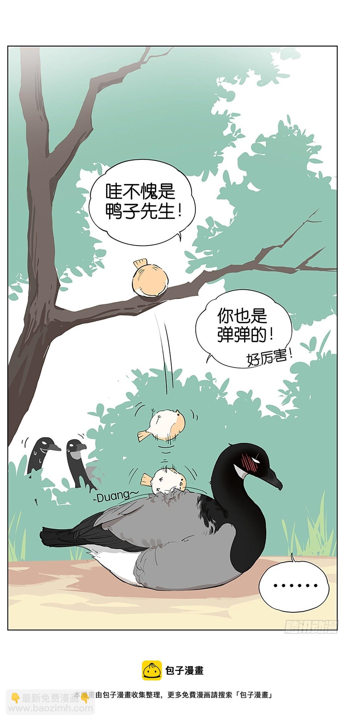 弹弹的小鸟