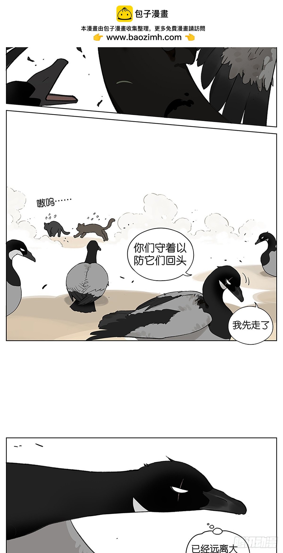 凉爽的一天