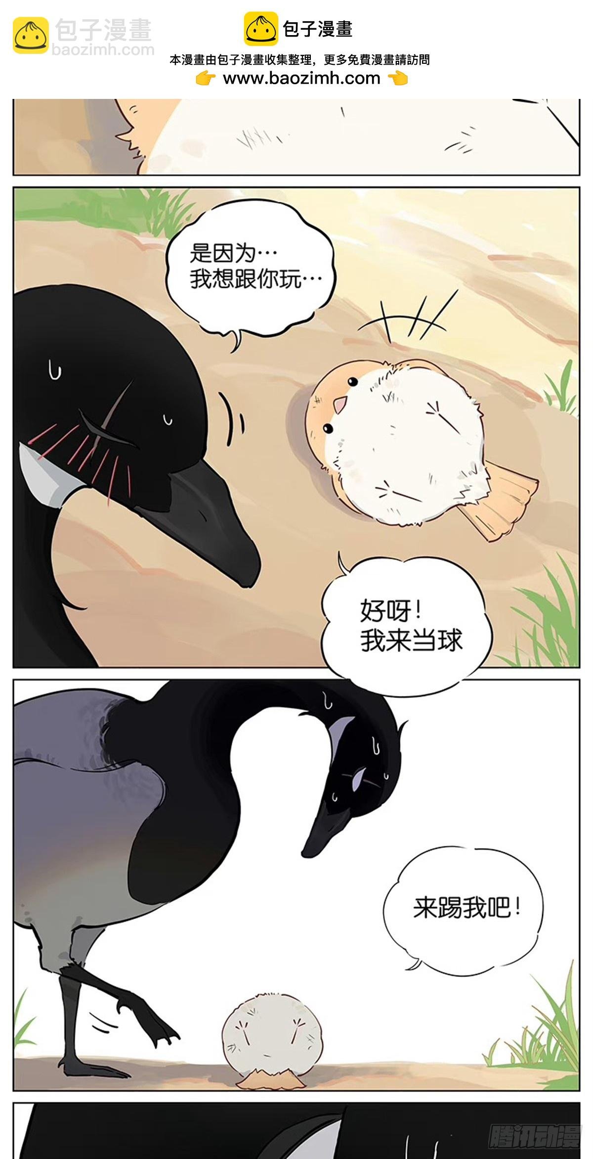 踢球游戏