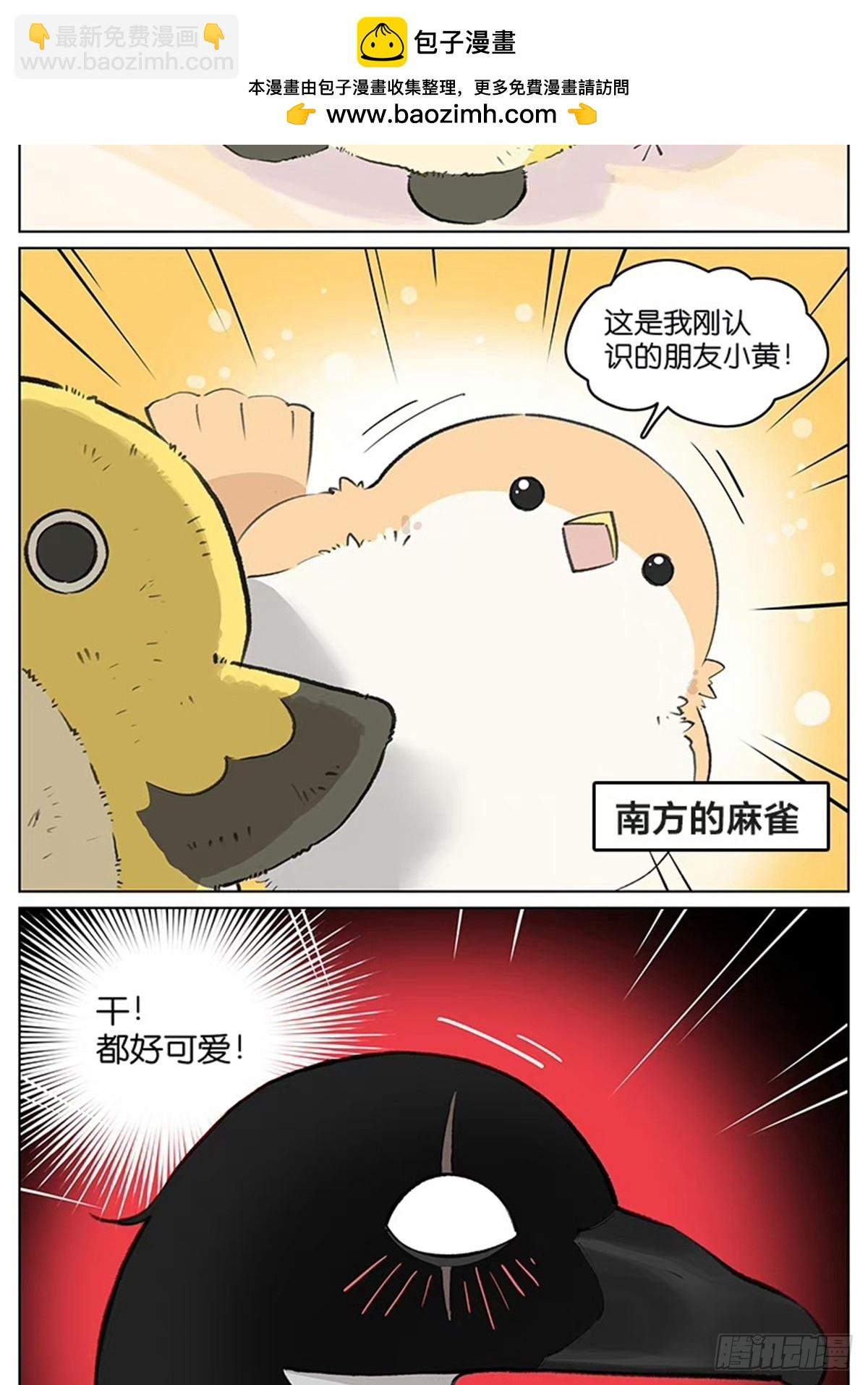走丢了的朋友