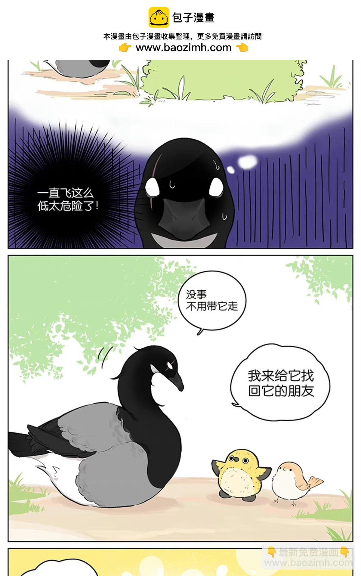 走丢了的朋友
