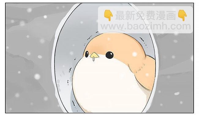 下雪了。