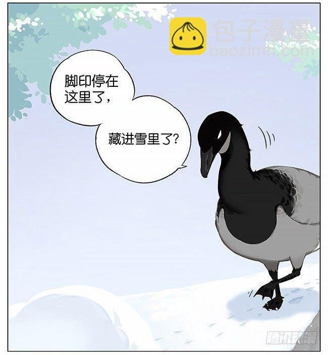 雪上的小脚印。