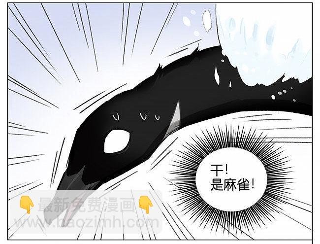 雪上的小脚印。
