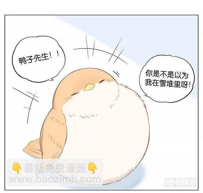 雪上的小脚印。