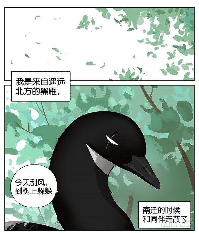 刮风。