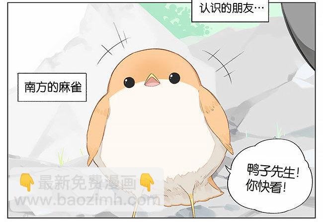 游泳。
