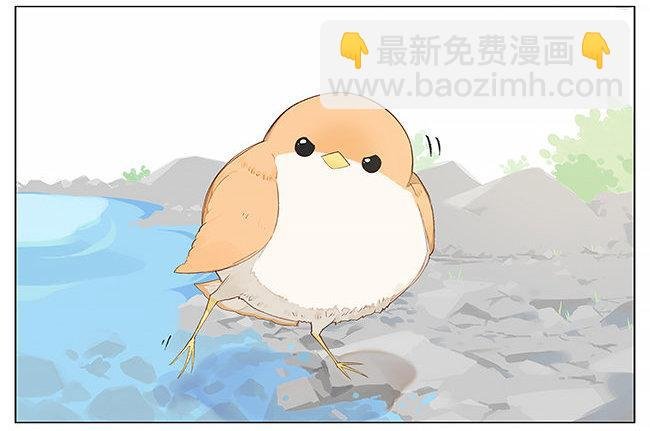 游泳。