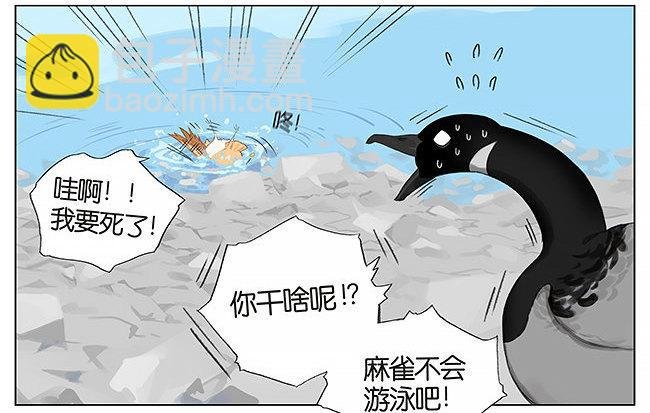 游泳。