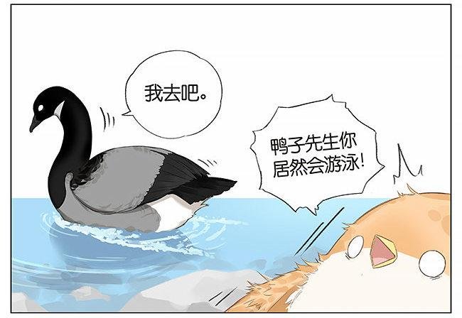 游泳。