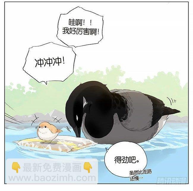 游泳。