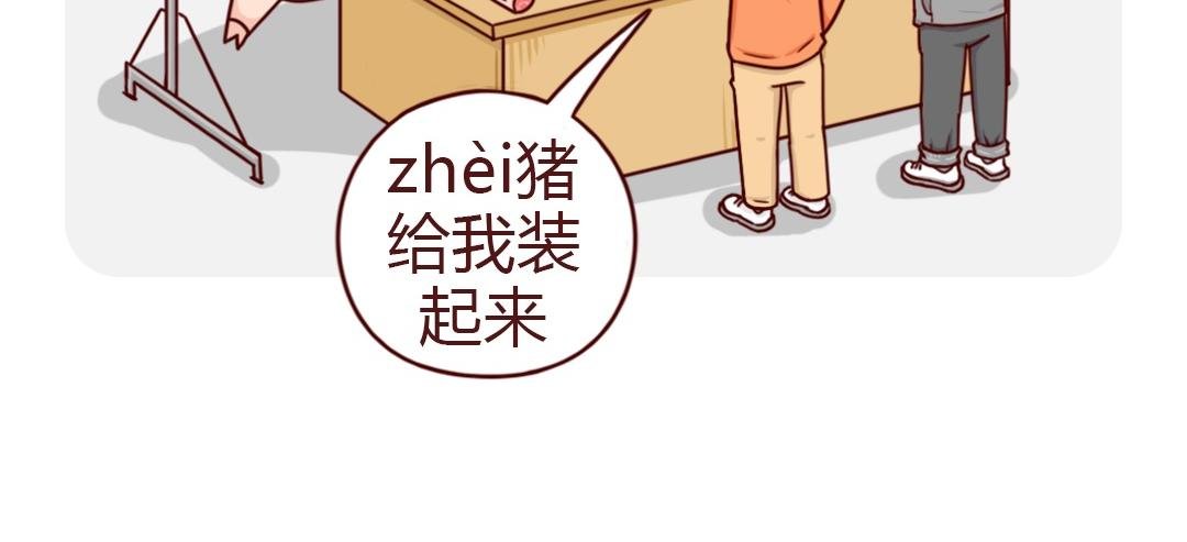 南方人和北方人过年又吵起来了