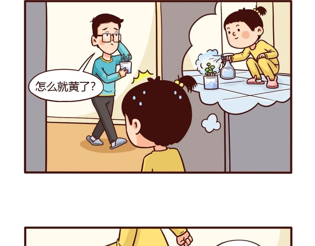 新栽绿植离奇死亡，谁动了旁边的